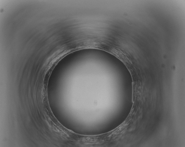 X0000062850338200601201709