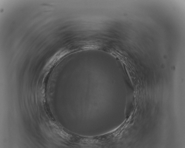 X0000062850339200601201709