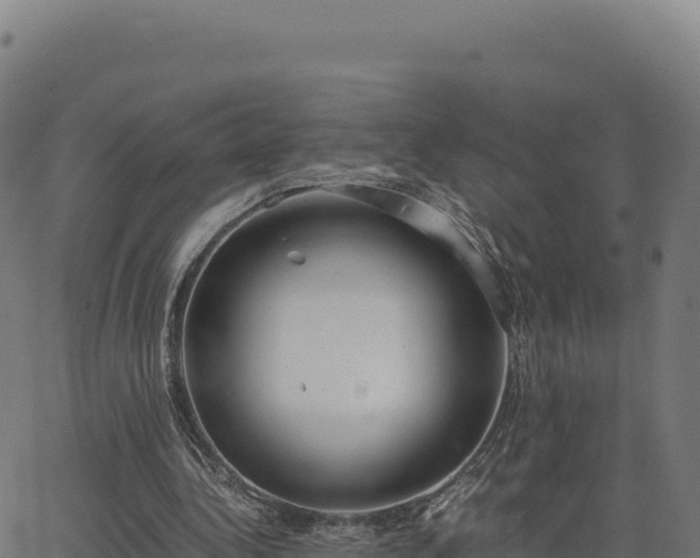 X0000062850340200601201709