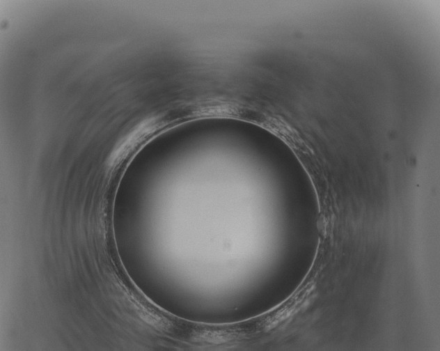 X0000062850341200601201709