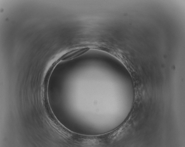 X0000062850342200601201709