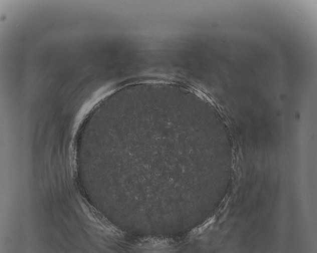 X0000062850343200601201709