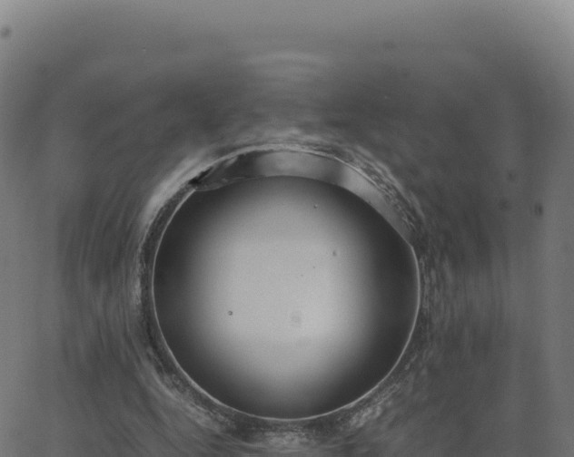 X0000062850344200601201709