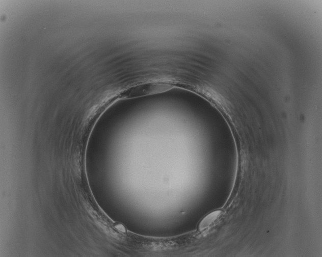 X0000062850345200601201709