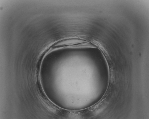 X0000062850346200601201709