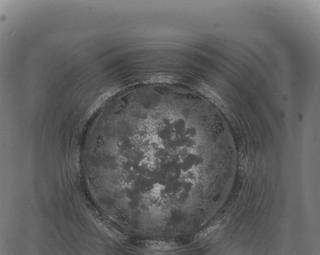 X0000062850347200601201709