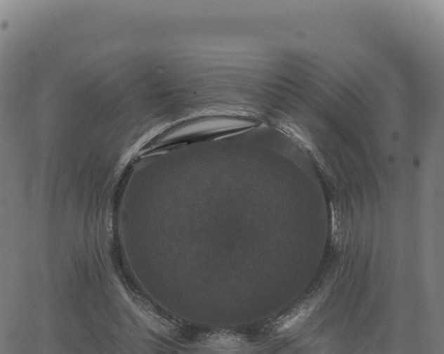 X0000062850348200601201709