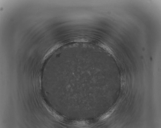 X0000062850349200601201709