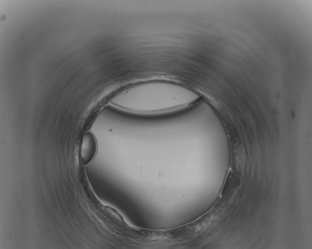 X0000062850350200601201709