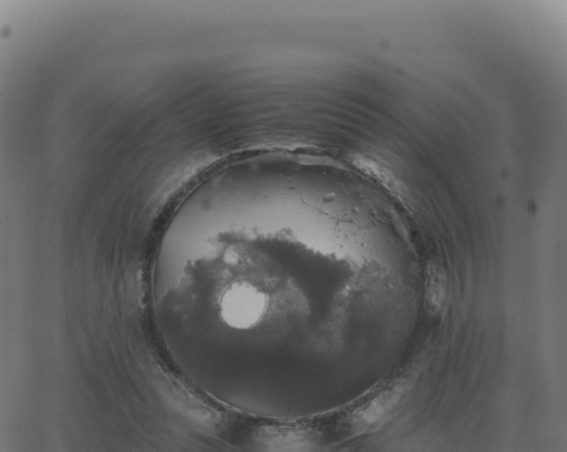 X0000062850351200601201709