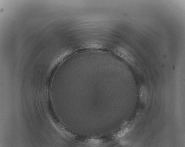 X0000062850352200601201709