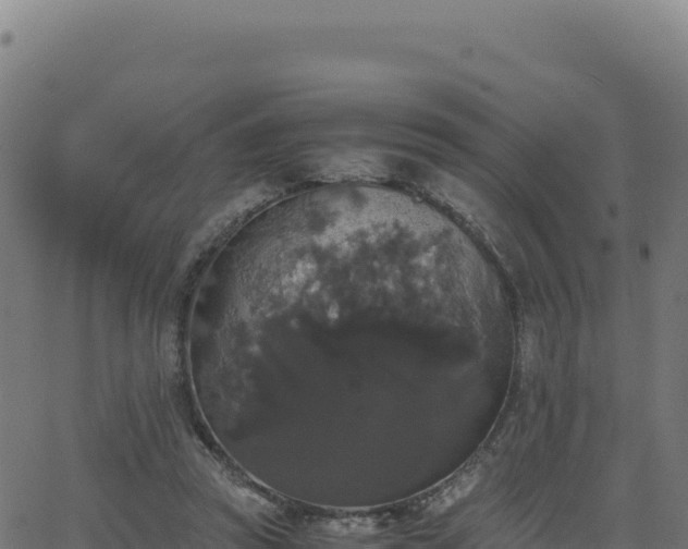 X0000062850353200601201709