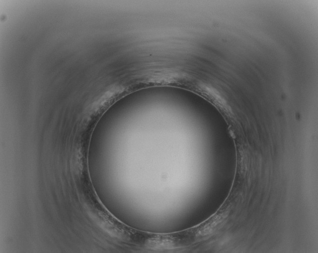 X0000062850354200601201709