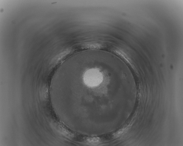 X0000062850355200601201709