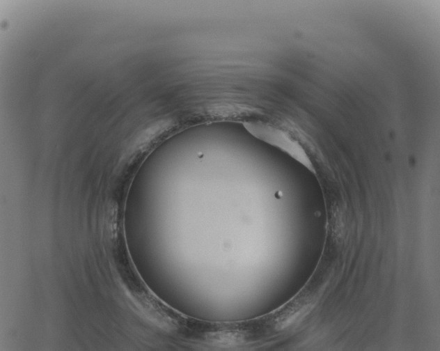 X0000062850356200601201709