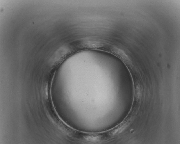 X0000062850358200601201709