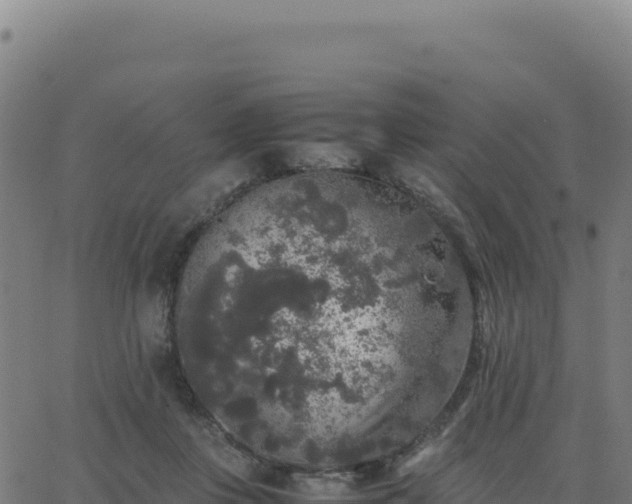 X0000062850359200601201709