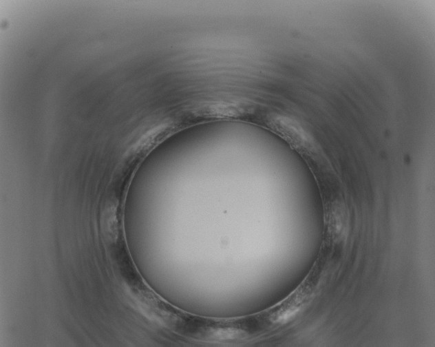 X0000062850360200601201709