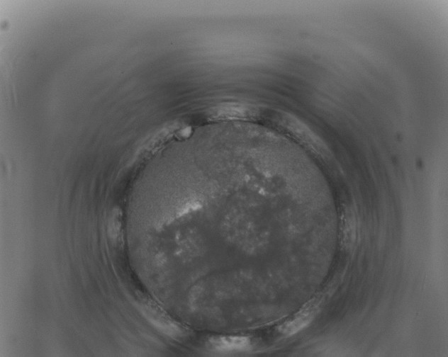 X0000062850361200601201709