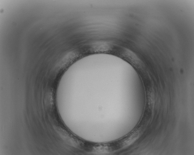 X0000062850362200601201709