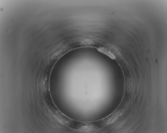 X0000062850364200601201709