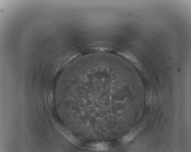 X0000062850365200601201709