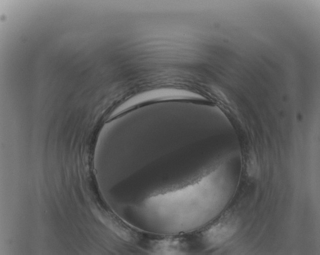 X0000062850366200601201709