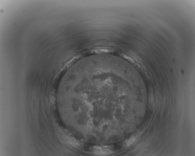 X0000062850367200601201709