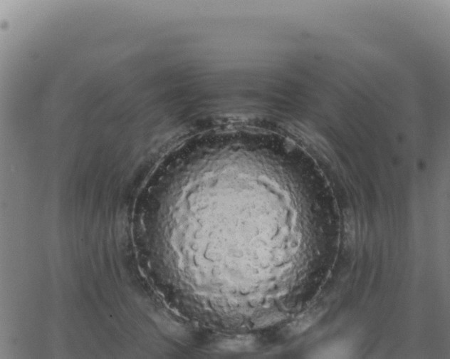 X0000062850369200601201709