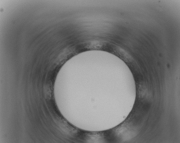 X0000062850370200601201709