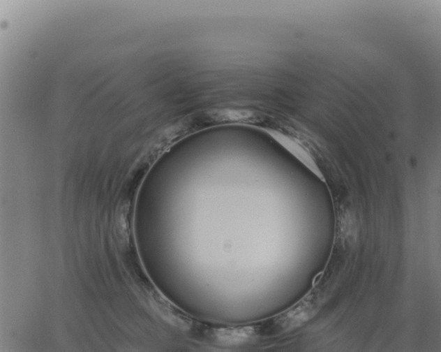 X0000062850373200601201709