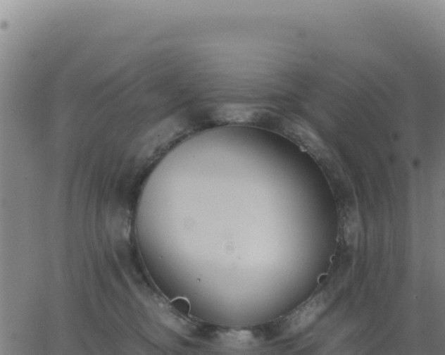 X0000062850374200601201709