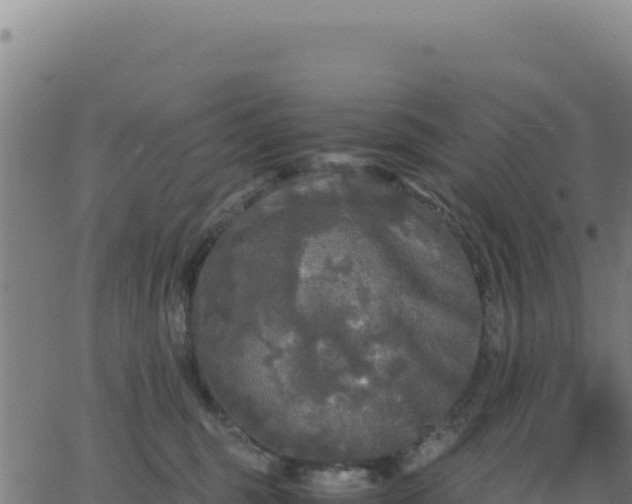 X0000062850375200601201709