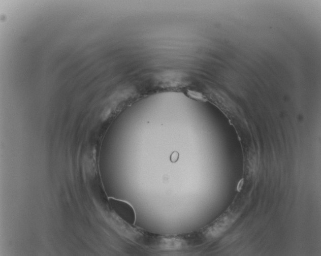 X0000062850376200601201709