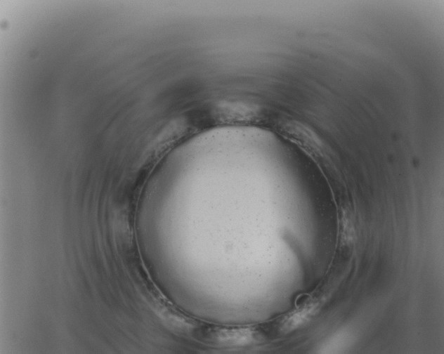 X0000062850377200601201709