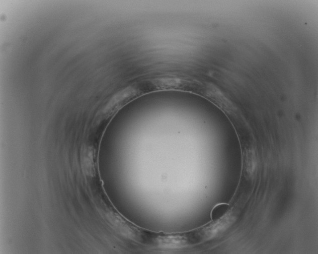 X0000062850378200601201709