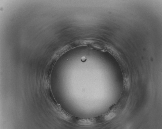 X0000062850381200601201709