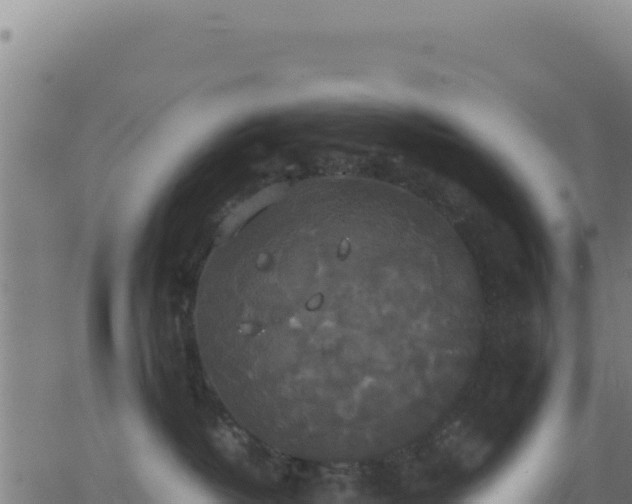 X0000062850382200601201709