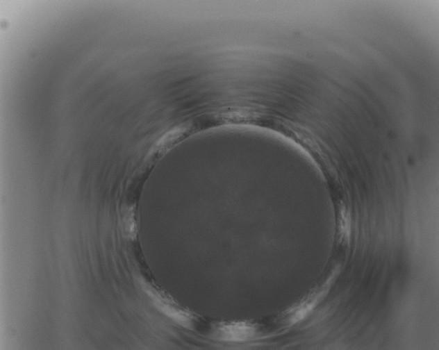 X0000062850383200601201709