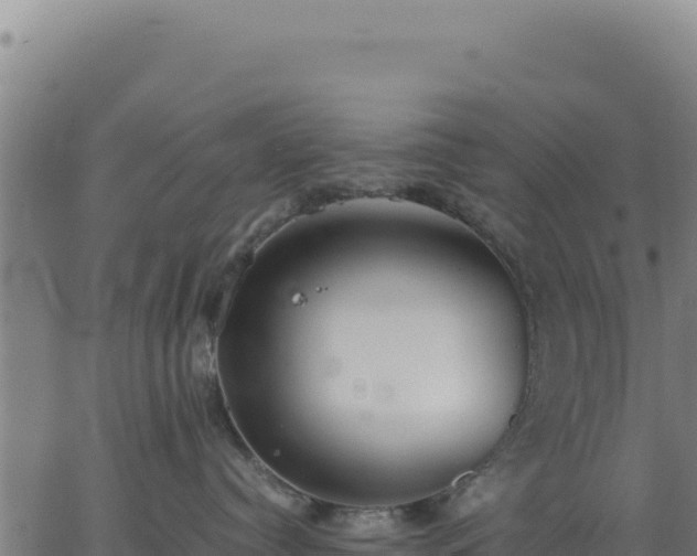 X0000062850384200601201709