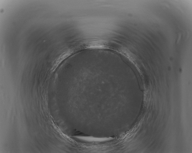 X0000062850385200601201709