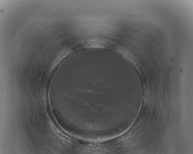 X0000062850386200601201709