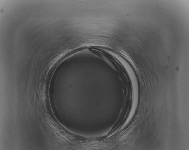 X0000062850387200601201709