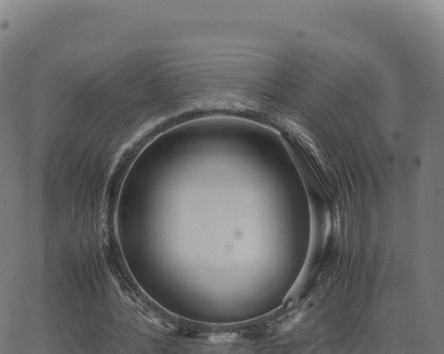 X0000062850388200601201709