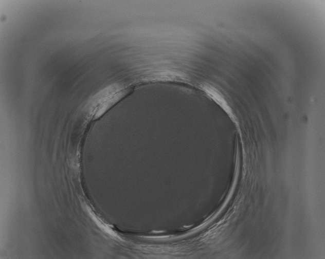 X0000062850389200601201709