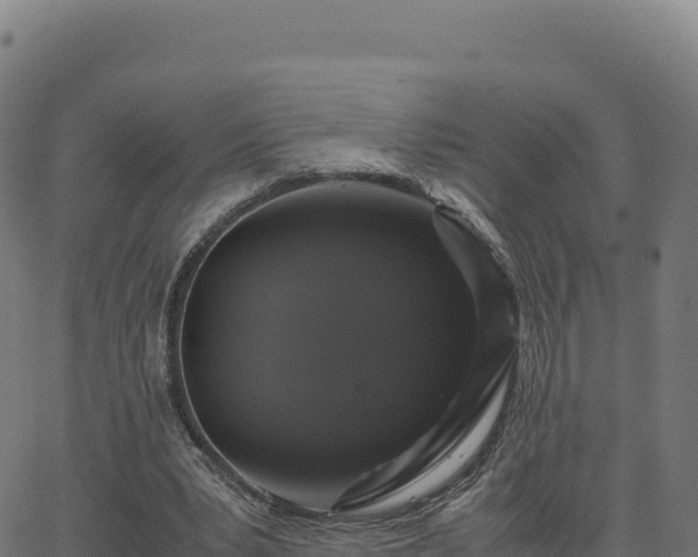 X0000062850391200601201709