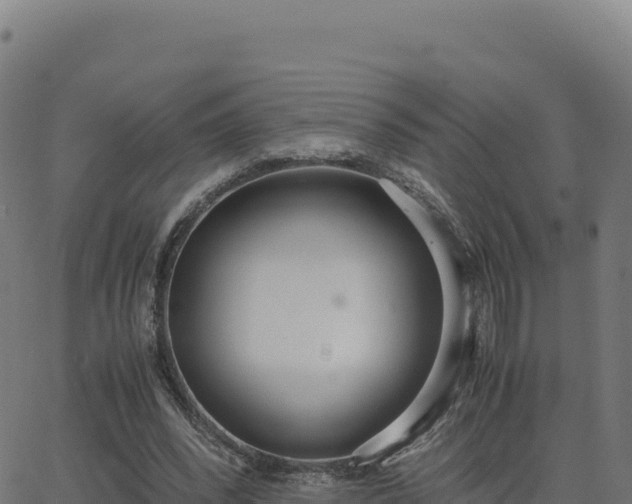 X0000062850392200601201709