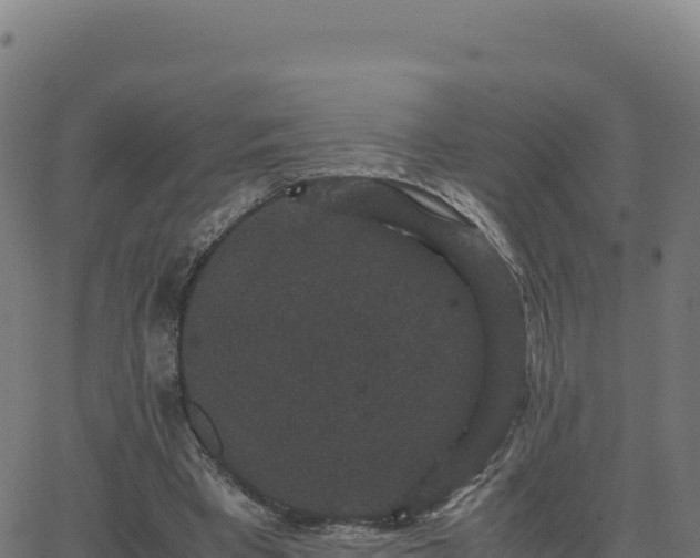 X0000062850393200601201709