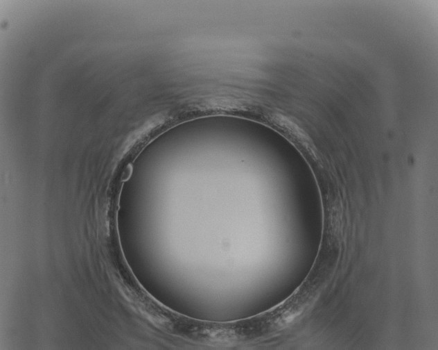 X0000062850395200601201708