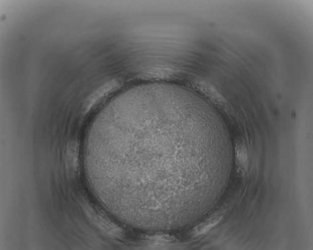 X0000062850396200601201708